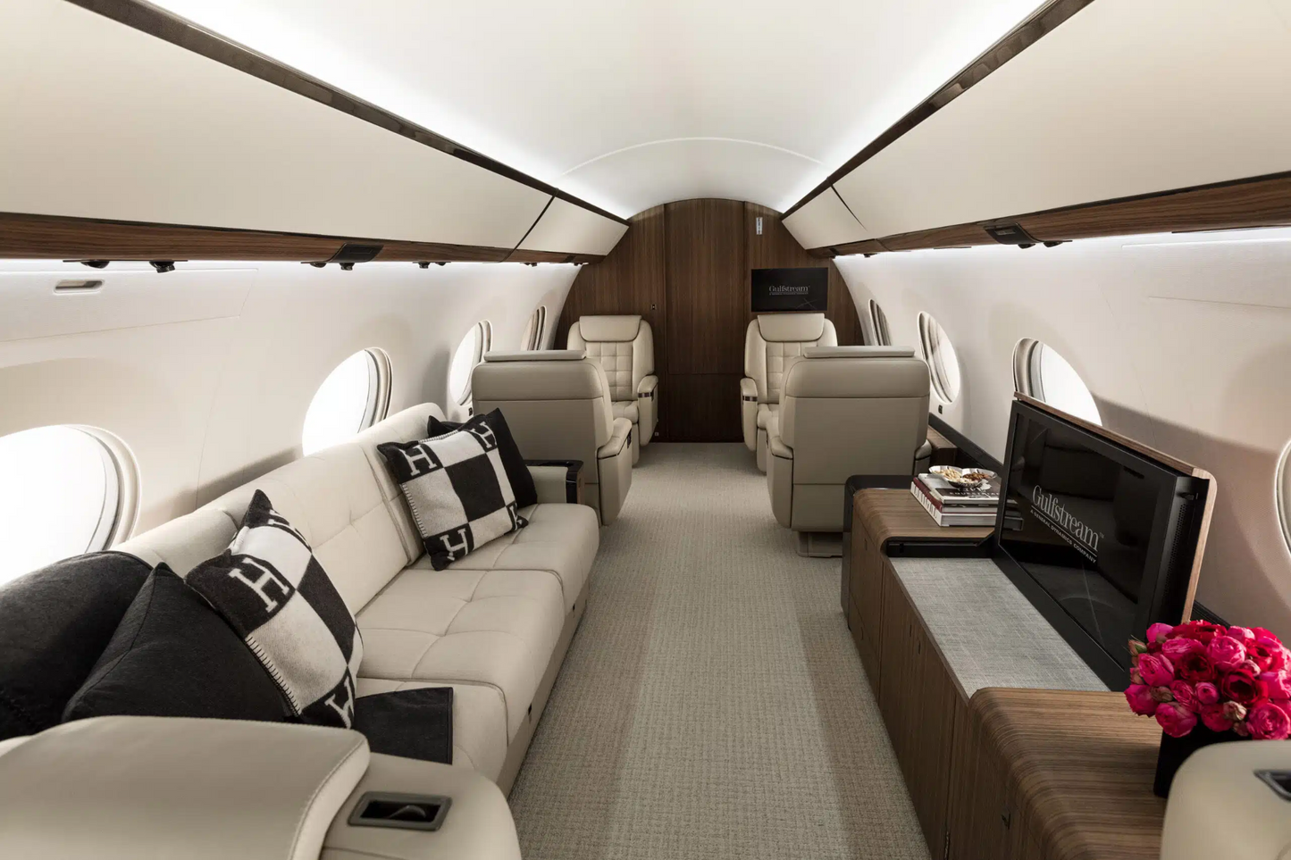 Premium Aircraft Detailing Service | Private Aircraft Cleaning & Protection